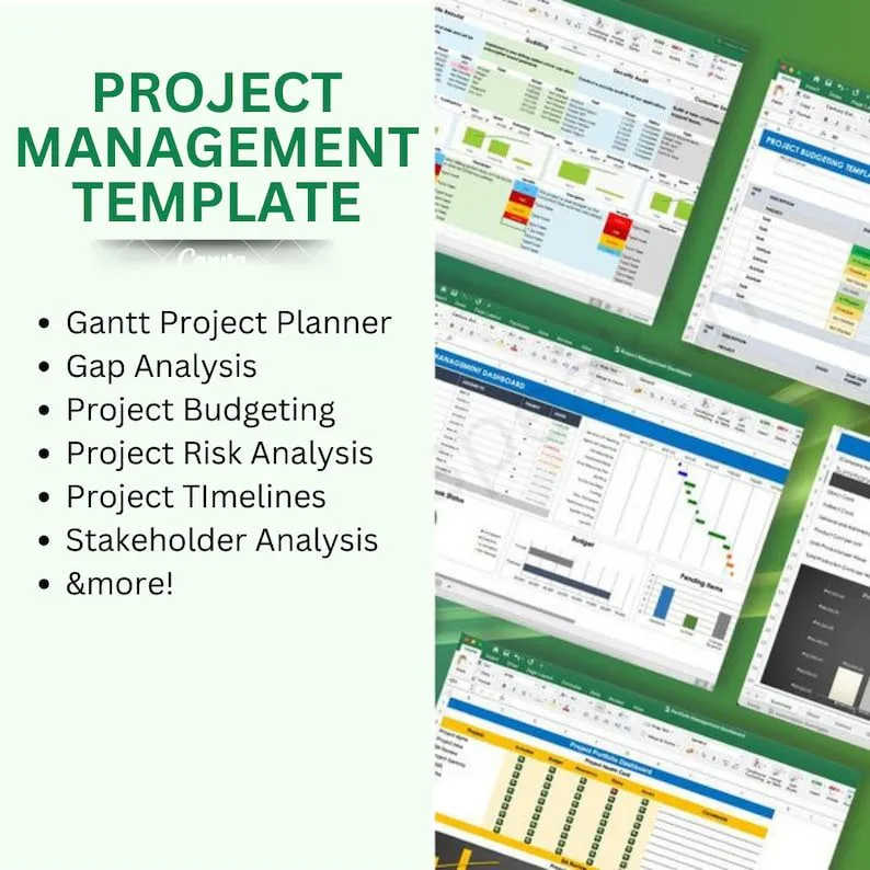 excel-project management